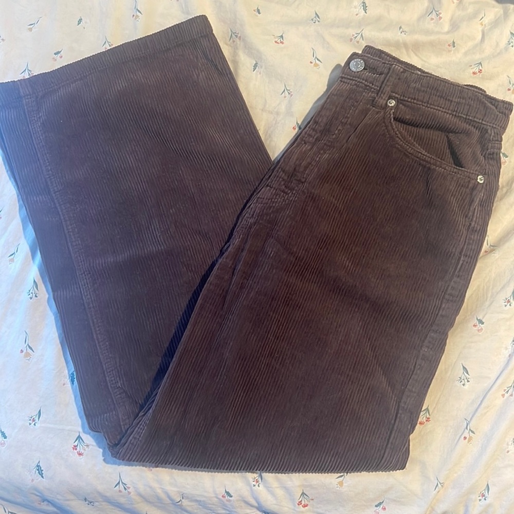 Urban Outfitters BDG Ultra Wide Brown Corduroy Pants